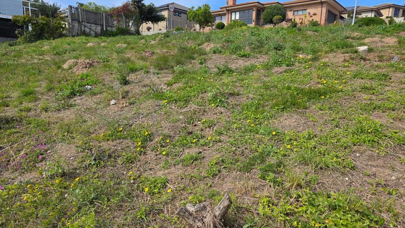 0 Bedroom Property for Sale in Reebok Western Cape